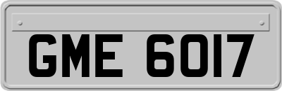 GME6017