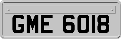 GME6018