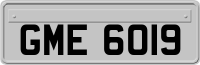 GME6019