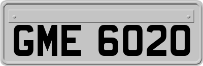 GME6020