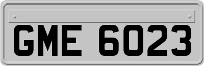 GME6023