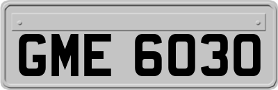 GME6030