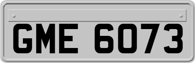 GME6073