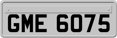 GME6075