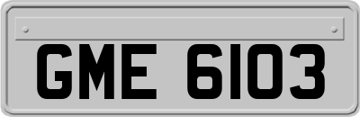 GME6103