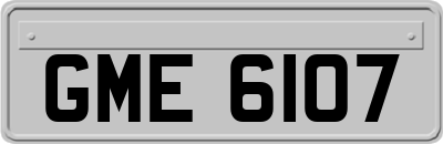 GME6107