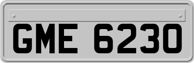 GME6230