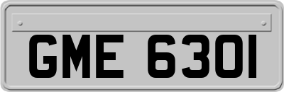GME6301