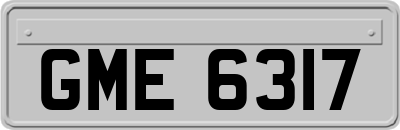 GME6317