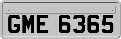 GME6365
