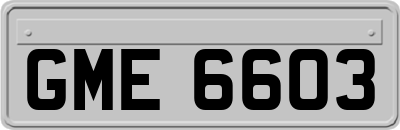GME6603