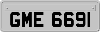 GME6691