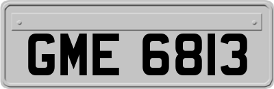 GME6813