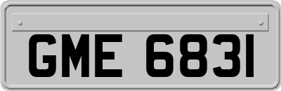 GME6831