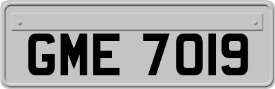 GME7019