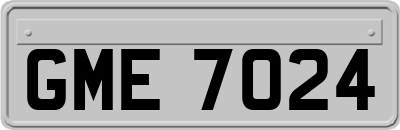 GME7024