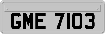 GME7103