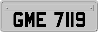 GME7119