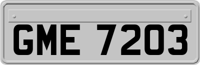GME7203