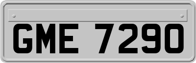 GME7290