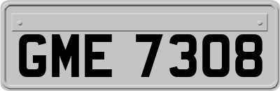 GME7308