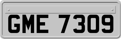 GME7309