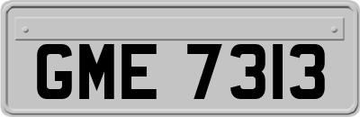 GME7313