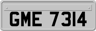 GME7314