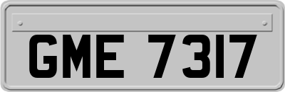 GME7317