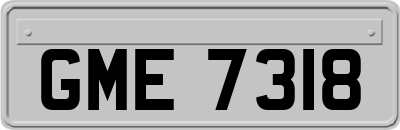 GME7318