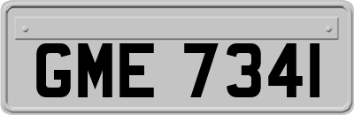 GME7341