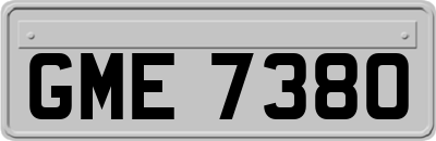 GME7380