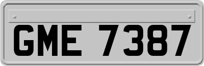 GME7387