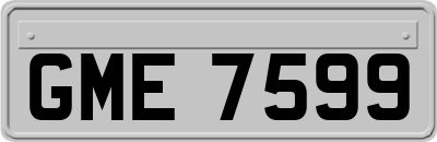 GME7599