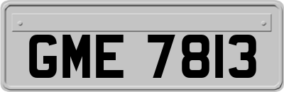GME7813