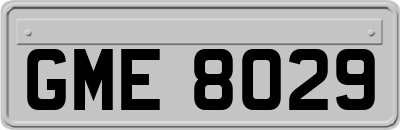 GME8029