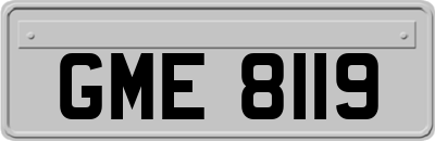 GME8119