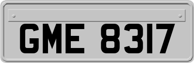 GME8317