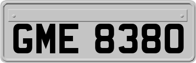 GME8380