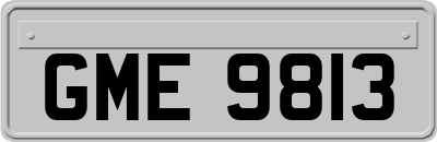 GME9813