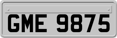 GME9875