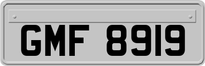 GMF8919
