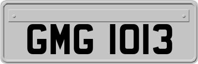 GMG1013