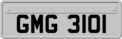 GMG3101