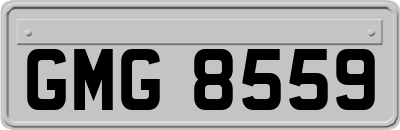 GMG8559