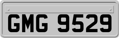 GMG9529
