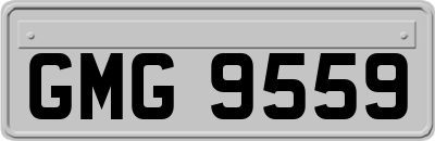 GMG9559
