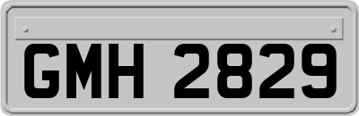 GMH2829