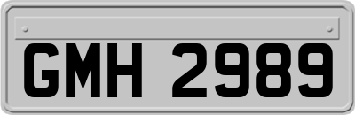 GMH2989