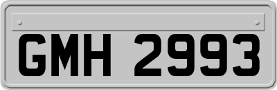 GMH2993